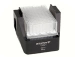 SIGMA 13621