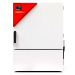 Инкубатор Binder KB 65, 63 л, с охлаждением